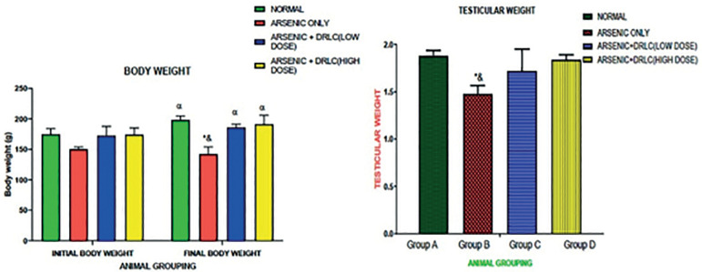 Potentiating response of D- Ribose-L-Cysteine on Sodium arsenate- induced hormonal imbalance, spermatogenesis impairments and histomorphometric alterations in adult male Wistar rat.