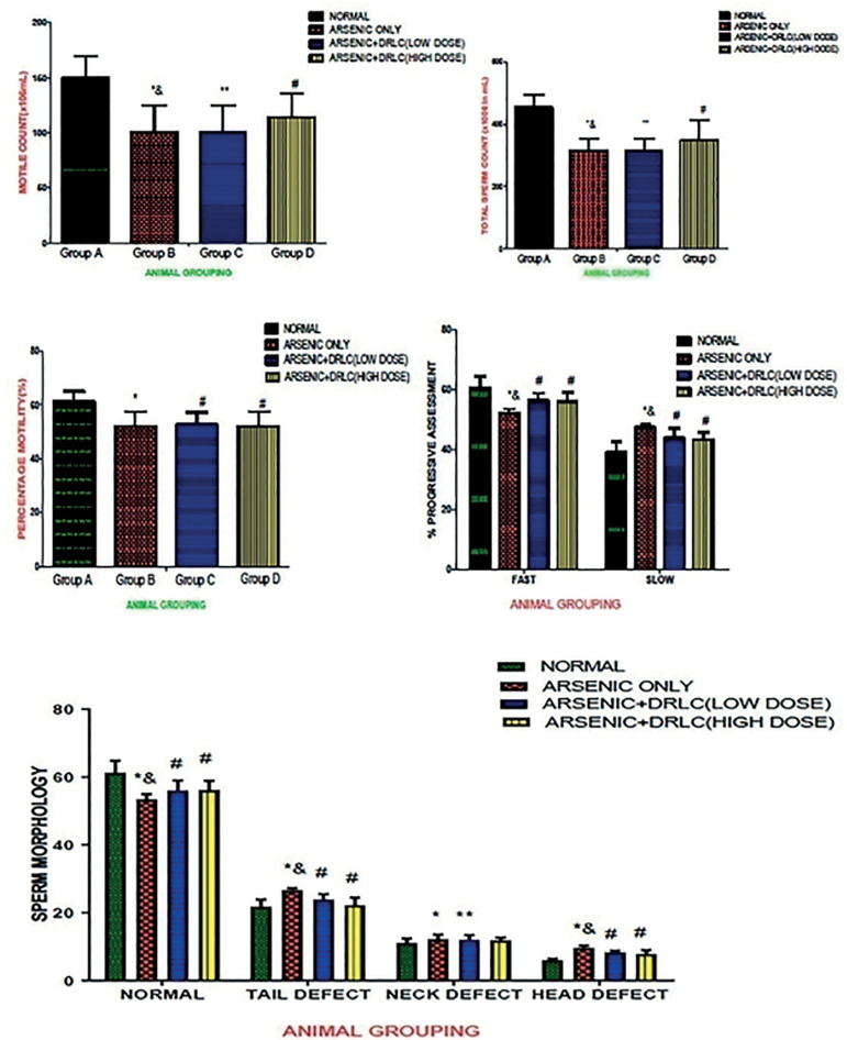 Potentiating response of D- Ribose-L-Cysteine on Sodium arsenate- induced hormonal imbalance, spermatogenesis impairments and histomorphometric alterations in adult male Wistar rat.