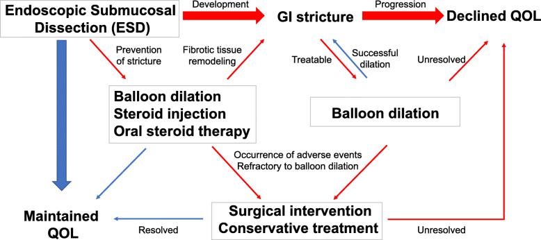 Pathogenesis and management of gastrointestinal inflammation and fibrosis: from inflammatory bowel diseases to endoscopic surgery.