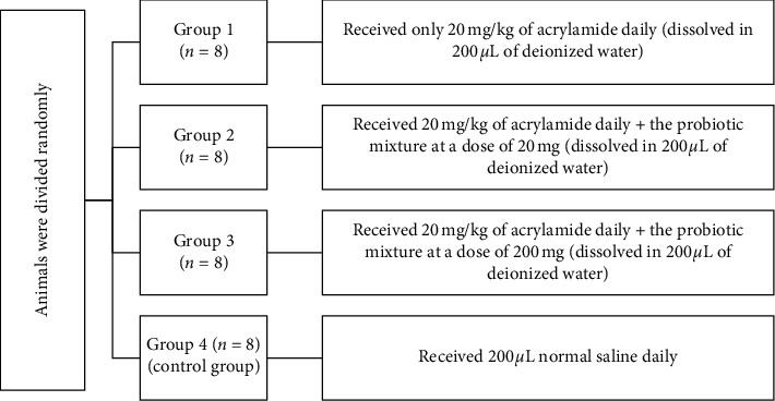 Modulatory Effect of Probiotics on Proinflammatory Cytokine Levels in Acrylamide-Treated Rats.