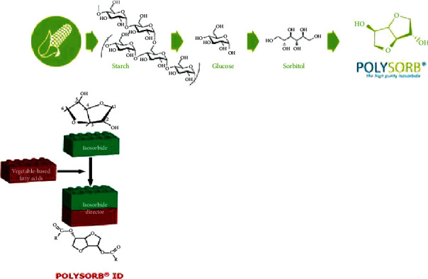 Toxicology and Biodegradability of a Phthalate-Free and Bio-Based Novel Plasticizer.