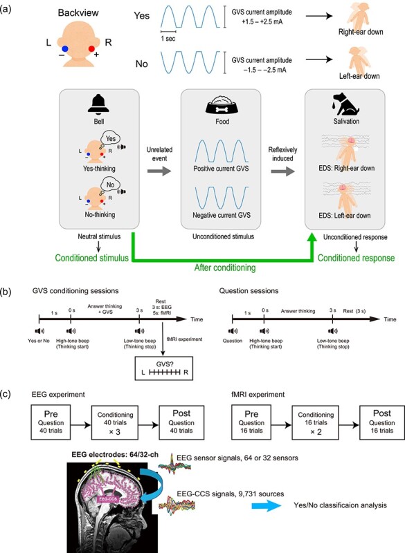 Binary Semantic Classification Using Cortical Activation with Pavlovian-Conditioned Vestibular Responses in Healthy and Locked-In Individuals.