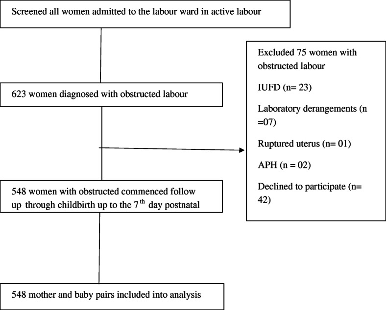 Incidence and determinants of perinatal mortality among women with obstructed labour in eastern Uganda: a prospective cohort study.