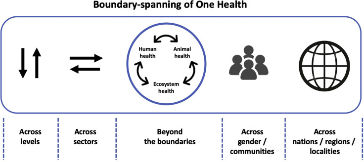 Biodiversity and COVID-19: A report and a long road ahead to avoid another pandemic.