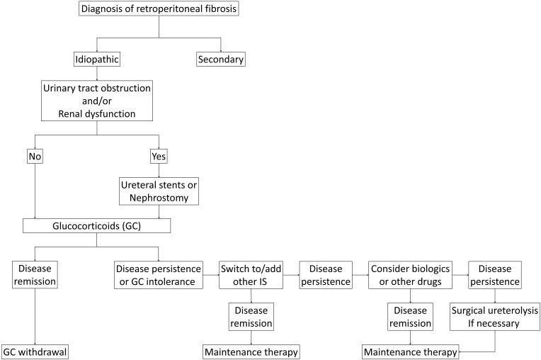 Renal Involvement in Retroperitoneal Fibrosis: Prevalence, Impact and Management Challenges.