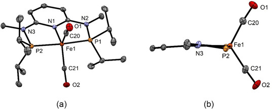 Structural and Electronic Properties of Iron(0) PNP Pincer Complexes.