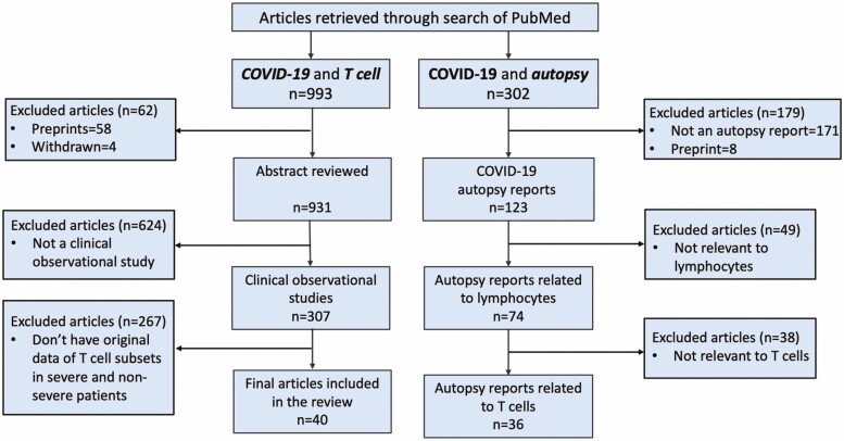 Peripheral T cell lymphopenia in COVID-19: potential mechanisms and impact.