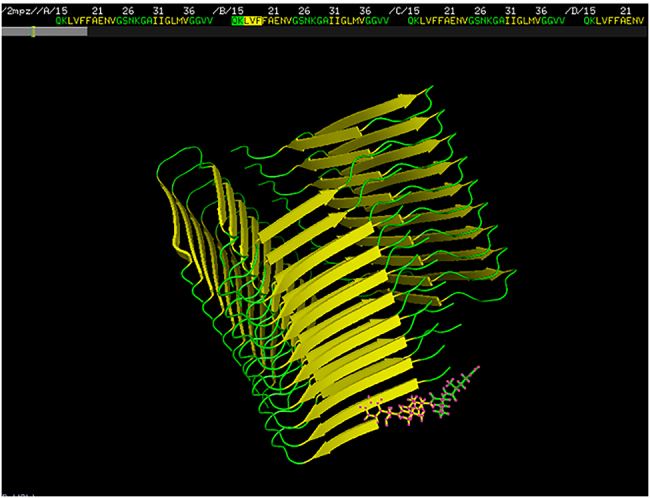 On the border of the amyloidogenic sequences: prefix analysis of the parallel beta sheets in the PDB_Amyloid collection.