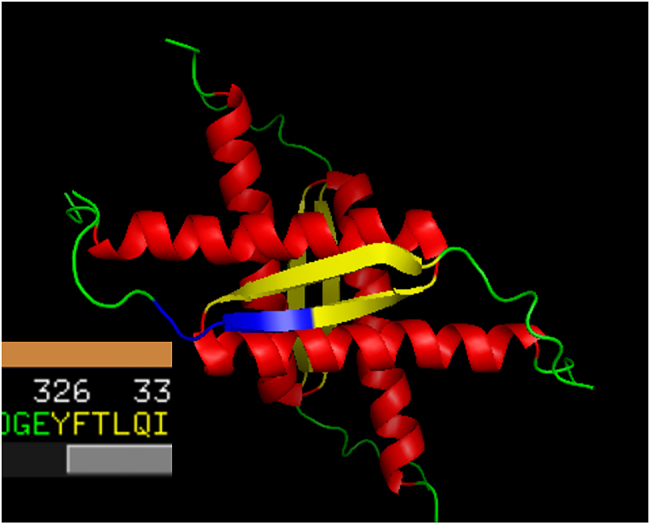 On the border of the amyloidogenic sequences: prefix analysis of the parallel beta sheets in the PDB_Amyloid collection.