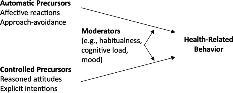 The Theory of Effort Minimization in Physical Activity.