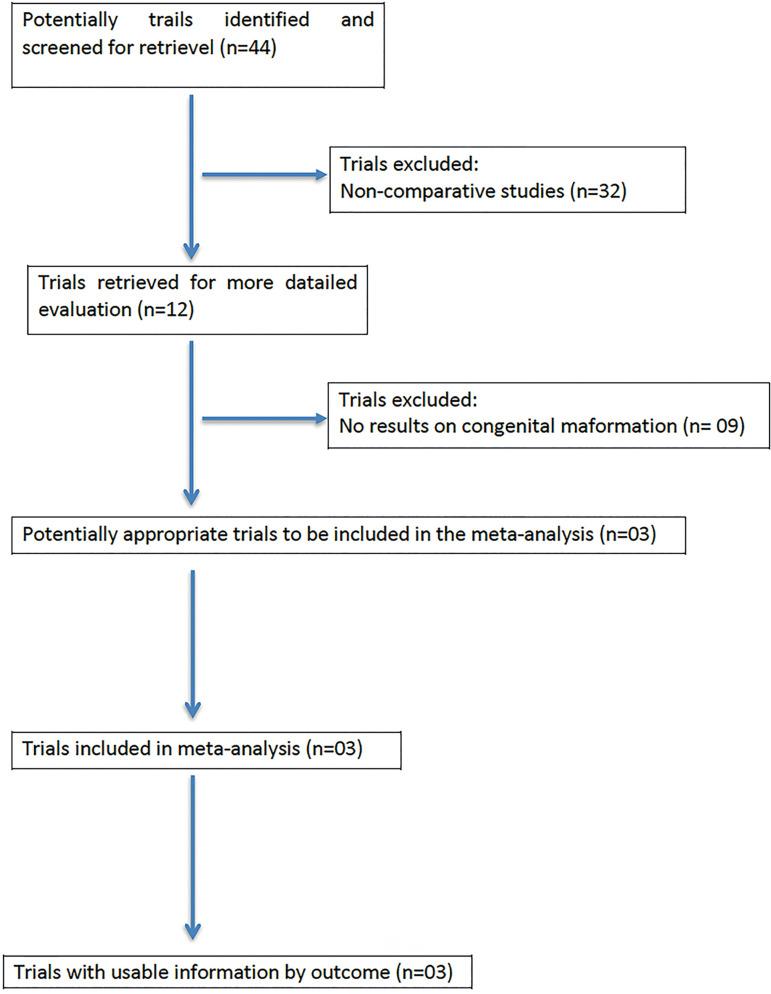 Impact of Intracytoplasmic Morphologically Selected Sperm Injection (IMSI) on Birth Defects: A Systematic Review and Meta-Analysis.