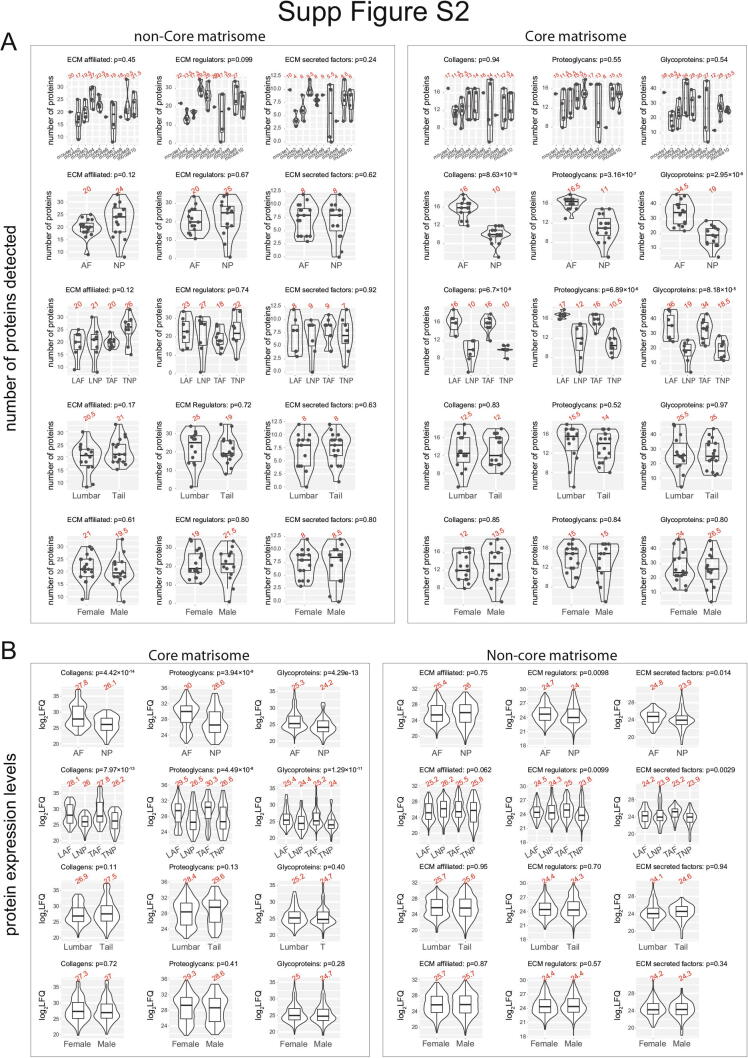PRIMUS: Comprehensive proteomics of mouse intervertebral discs that inform novel biology and relevance to human disease modelling