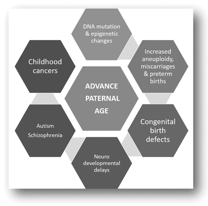 The effect of paternal age on intracytoplasmic sperm injection outcome in unexplained infertility.