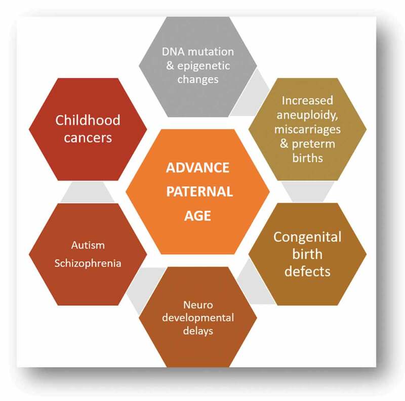 The effect of paternal age on intracytoplasmic sperm injection outcome in unexplained infertility.