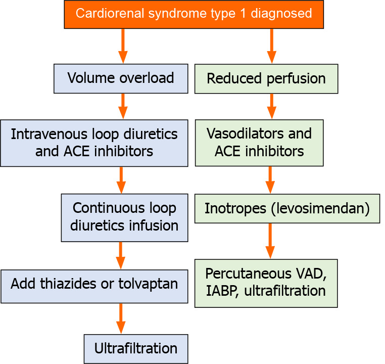 Evidence based review of management of cardiorenal syndrome type 1.