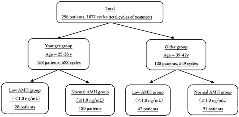 Live birth outcomes from IVF treatments in younger patients with low AMH.