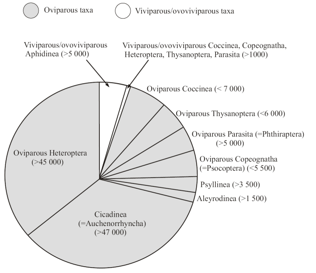 Egg retention, viviparity and ovoviviparity in Paraneoptera.