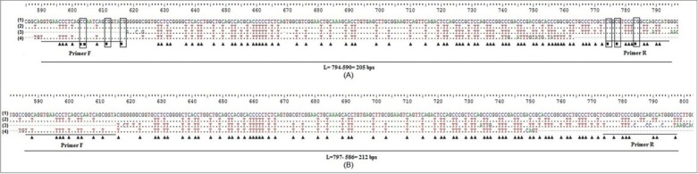 Simultaneously Both Expression of <i>LMP-1</i> and Methylation of <i>E-cadherin</i>: Molecular Biomarker in Stage IV of Nasopharyngeal Carcinoma Patients.