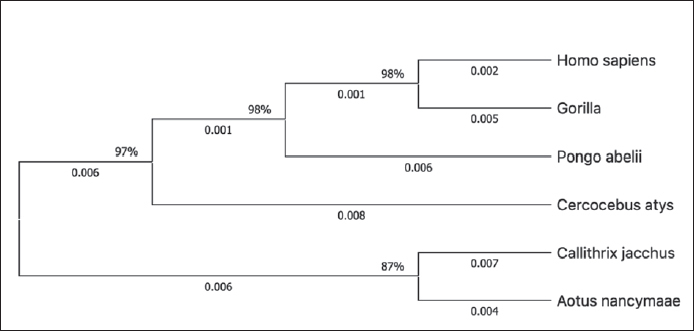 Comparative Analysis of Genes Associated with Obesity in Humans Using Bioinformatic Data and Tools.