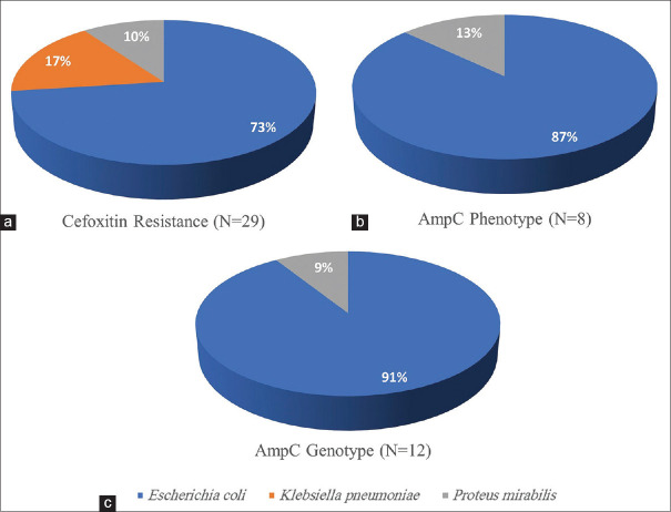 Molecular detection of plasmid-derived AmpC β-lactamase among clinical strains of <i>Enterobacteriaceae</i> in Bahrain.