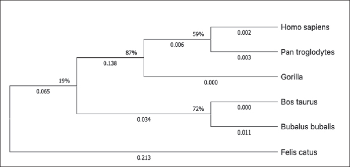 Comparative Analysis of Genes Associated with Obesity in Humans Using Bioinformatic Data and Tools.