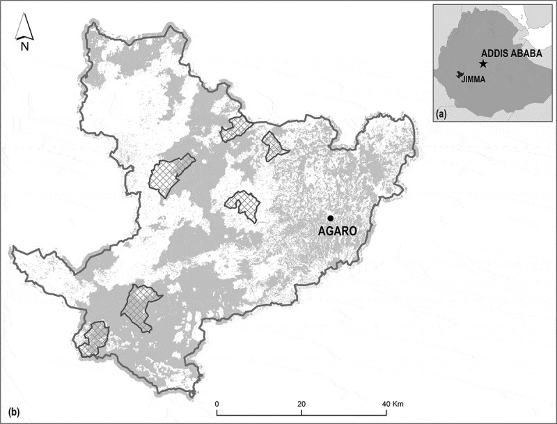 A social-ecological assessment of food security and biodiversity conservation in Ethiopia.