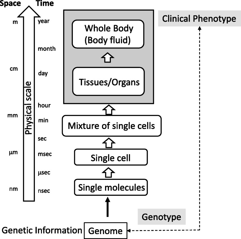 Multiomic technologies for analyses of inborn errors of immunity: from snapshot of the average cell to dynamic temporal picture at single-cell resolution.