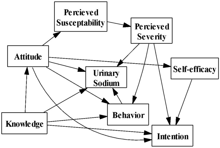 The Complex Role of Cognitive and Behavioral Factors in Salt Intake Levels of Women.