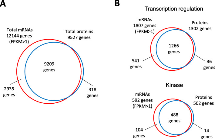 Multiomic technologies for analyses of inborn errors of immunity: from snapshot of the average cell to dynamic temporal picture at single-cell resolution.