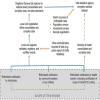 Birth and death notification via mobile devices: a mixed methods systematic review.