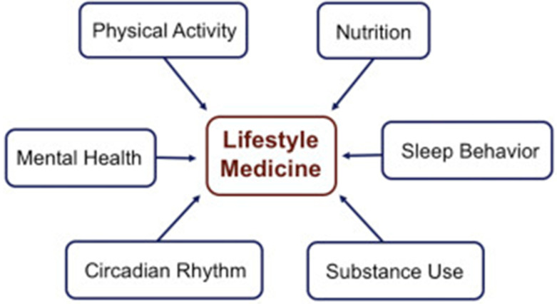 Improvement on Biometrics in Individuals Undergoing a 10 and 21-Day Lifestyle Intervention in a Lifestyle Medicine Clinic in Mexico.