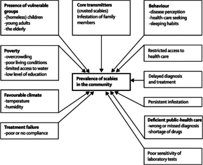 Mass drug administration for endemic scabies: a systematic review.