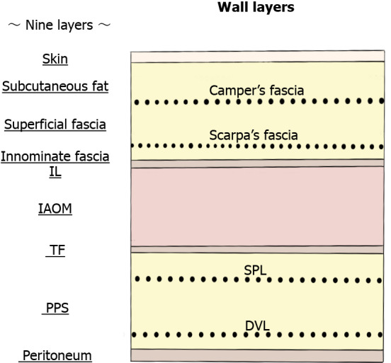 Fascinating history of groin hernias: Comprehensive recognition of anatomy, classic considerations for herniorrhaphy, and current controversies in hernioplasty.