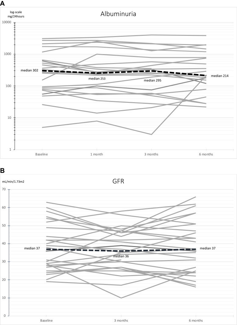 Low-Intensity Shockwave Therapy (LI-ESWT) in Diabetic Kidney Disease: Results from an Open-Label Interventional Clinical Trial.