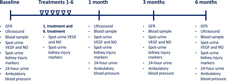 Low-Intensity Shockwave Therapy (LI-ESWT) in Diabetic Kidney Disease: Results from an Open-Label Interventional Clinical Trial.