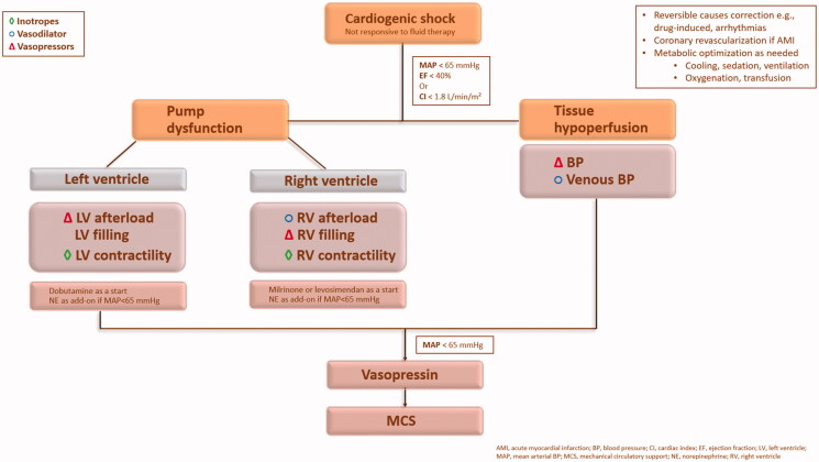 Vasoactive pharmacologic therapy in cardiogenic shock: a critical review.