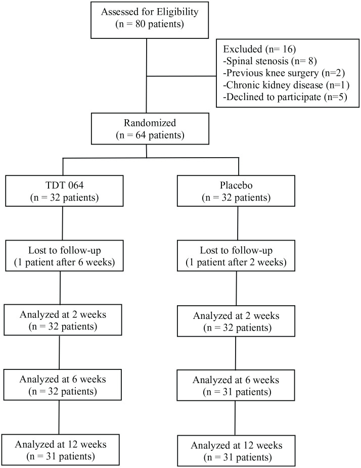 A Randomized Placebo-Controlled Trial of Efficacy and Safety: Drug-Free Gel Containing Ultra-Deformable Phospholipid Vesicles (TDT 064) in Osteoarthritic Knees.