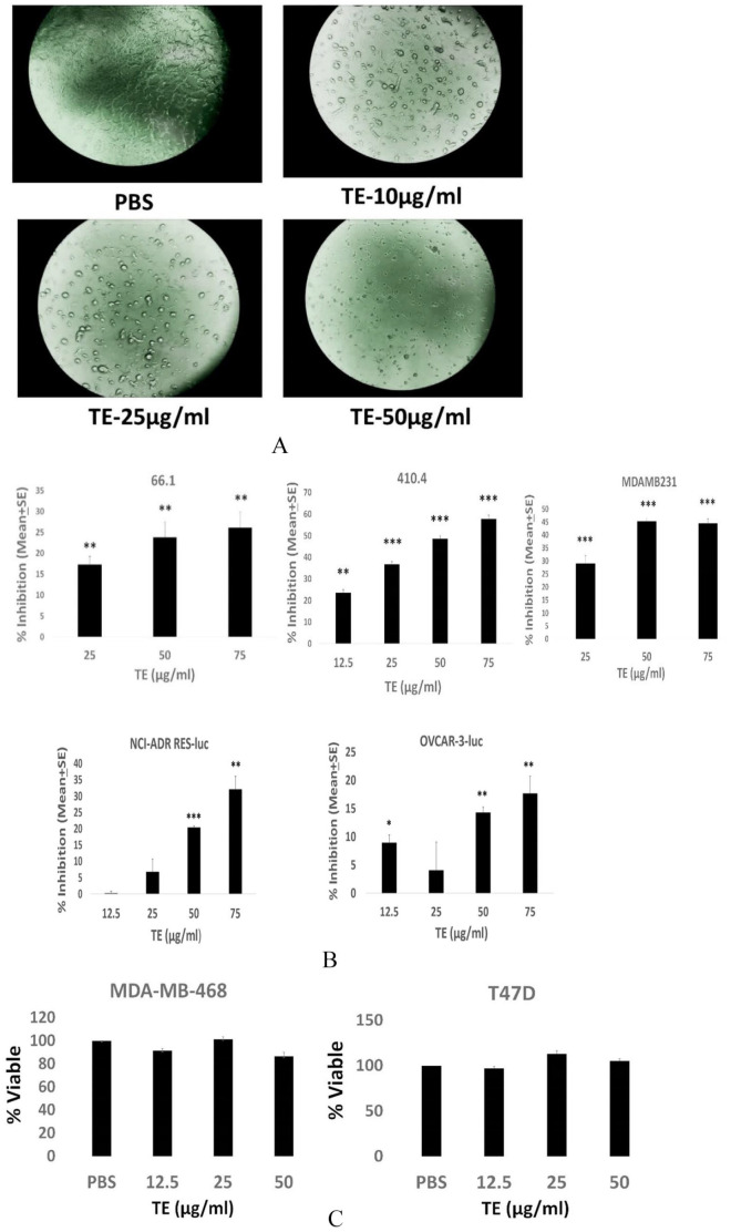 An Extract of Taro (<i>Colocasia esculenta</i>) Mediates Potent Inhibitory Actions on Metastatic and Cancer Stem Cells by Tumor Cell-Autonomous and Immune-Dependent Mechanisms.