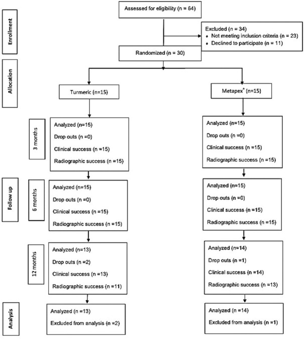 Comparative evaluation of a modified endodontic approach using <i>Curcuma longa</i> L. and conventional pulpectomy in primary molars: A randomized clinical trial.