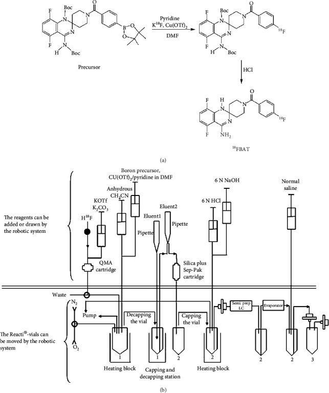 Automated Synthesis and Initial Evaluation of (4'-Amino-5',8'-difluoro-1'H-spiro[piperidine-4,2'-quinazolin]-1-yl)(4-[<sup>18</sup>F]fluorophenyl)methanone for PET/MR Imaging of Inducible Nitric Oxide Synthase.