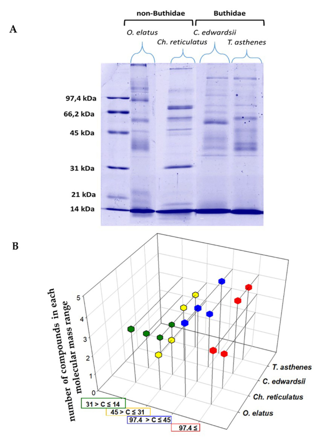 MS/MS analysis of four scorpion venoms from Colombia: a descriptive approach.