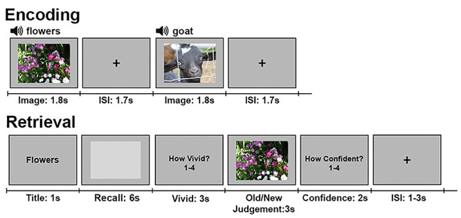 Detailed Episodic Memory Depends on Concurrent Reactivation of Basic Visual Features within the Posterior Hippocampus and Early Visual Cortex.