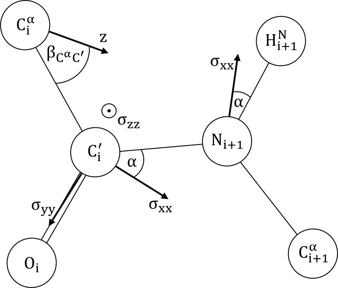 Detecting anisotropic segmental dynamics in disordered proteins by cross-correlated spin relaxation.