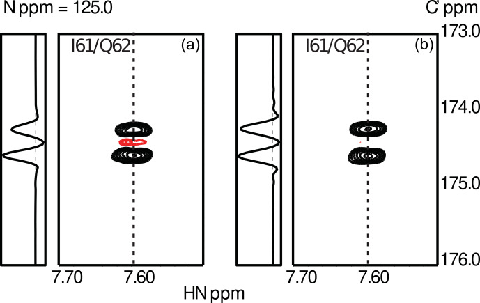 Detecting anisotropic segmental dynamics in disordered proteins by cross-correlated spin relaxation.