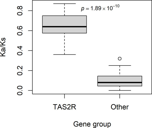 Contrasting Patterns of Gene Duplication, Relocation, and Selection Among Human Taste Genes.