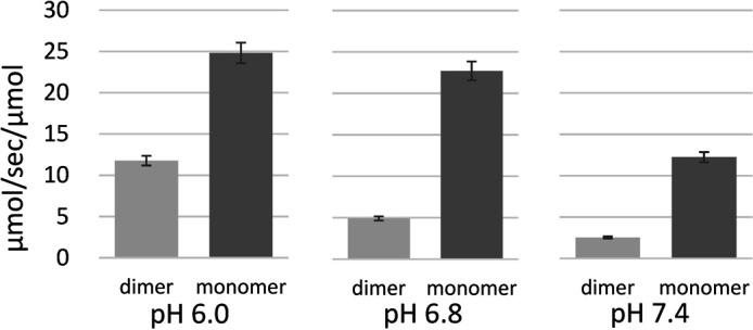 Biochemical and crystallographic studies of monomeric and dimeric bovine cytochrome <i>c</i> oxidase.