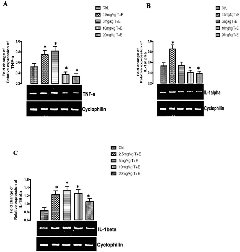 Synthetic Food dyes cause testicular damage via up-regulation of pro-inflammatory cytokines and down-regulation of FSH-R and TESK-1 gene expression.