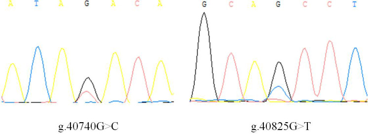 Polymorphism analysis and expression patterns of the <i>IGF1</i> gene in the Shitou goose.