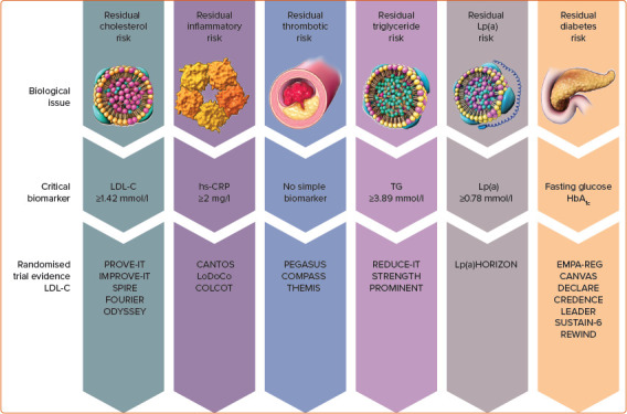 The Role of C-reactive Protein in Patient Risk Stratification and Treatment.