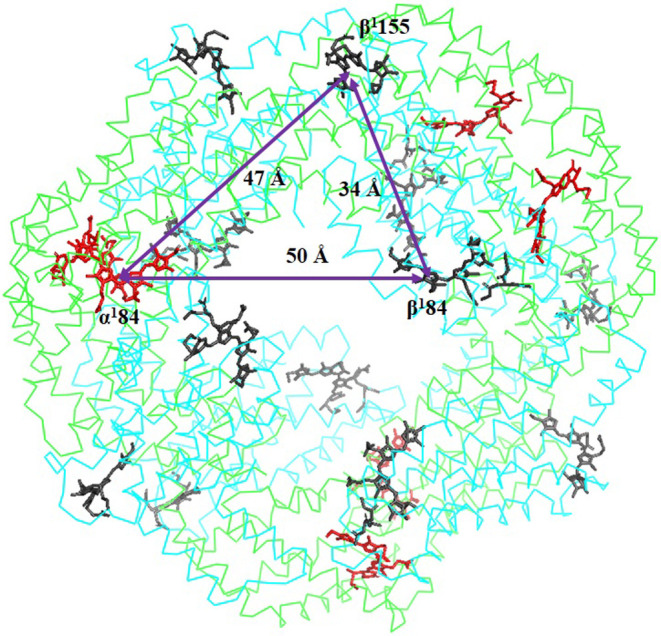 Estimation of the relative contributions to the electronic energy transfer rates based on Förster theory: The case of C-phycocyanin chromophores.